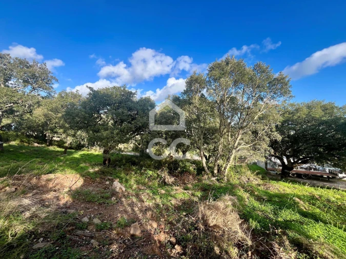 Terreno para Venda em A dos Negros Foto 5