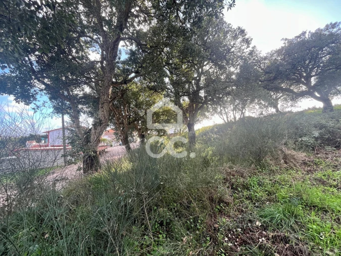 Terreno para Venda em A dos Negros Foto 15