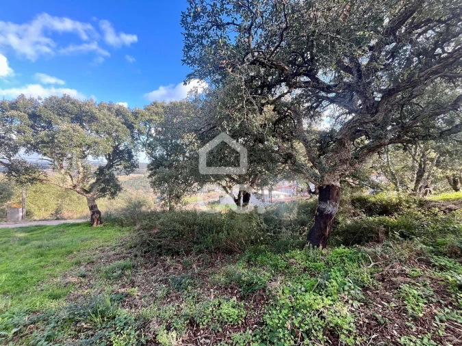 Terreno para Venda em A dos Negros Foto 4