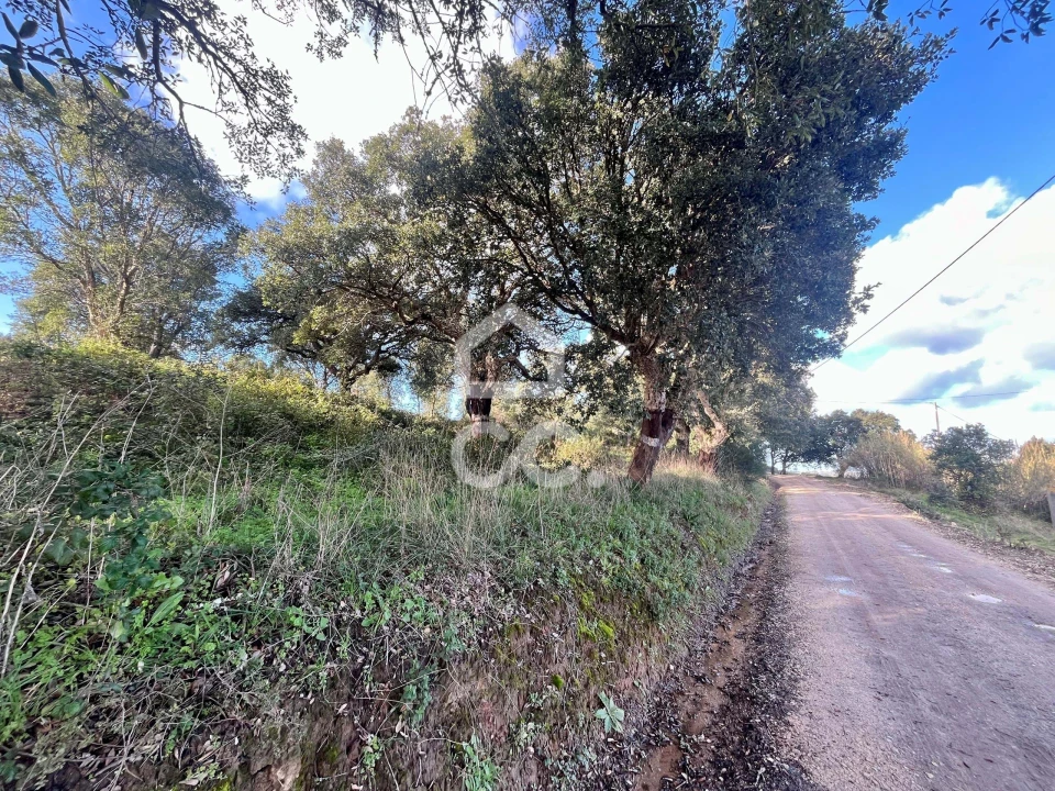 Terreno para Venda em A dos Negros Foto 13