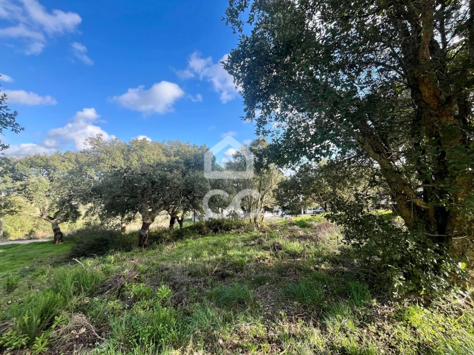 Terreno para Venda em A dos Negros Foto 3