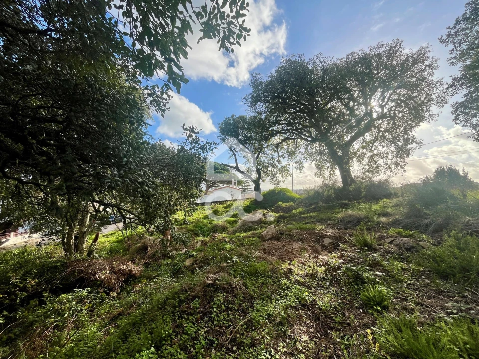 Terreno para Venda em A dos Negros Foto 17