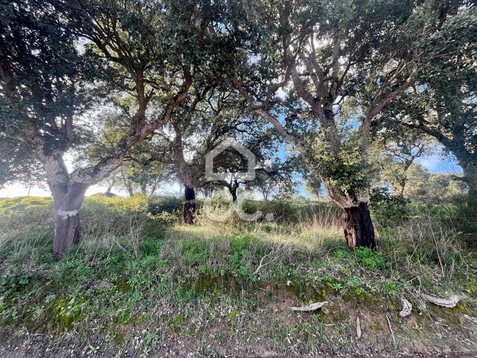 Terreno para Venda em A dos Negros Foto 11