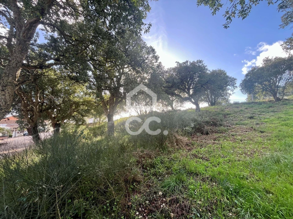Terreno para Venda em A dos Negros Foto 10