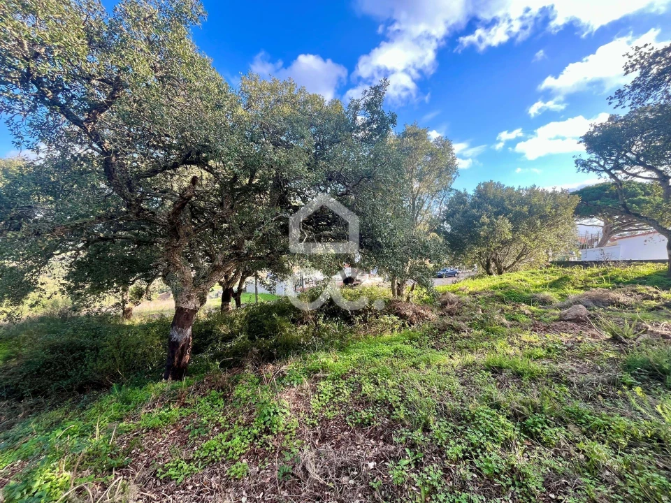 Terreno para Venda em A dos Negros Foto 18