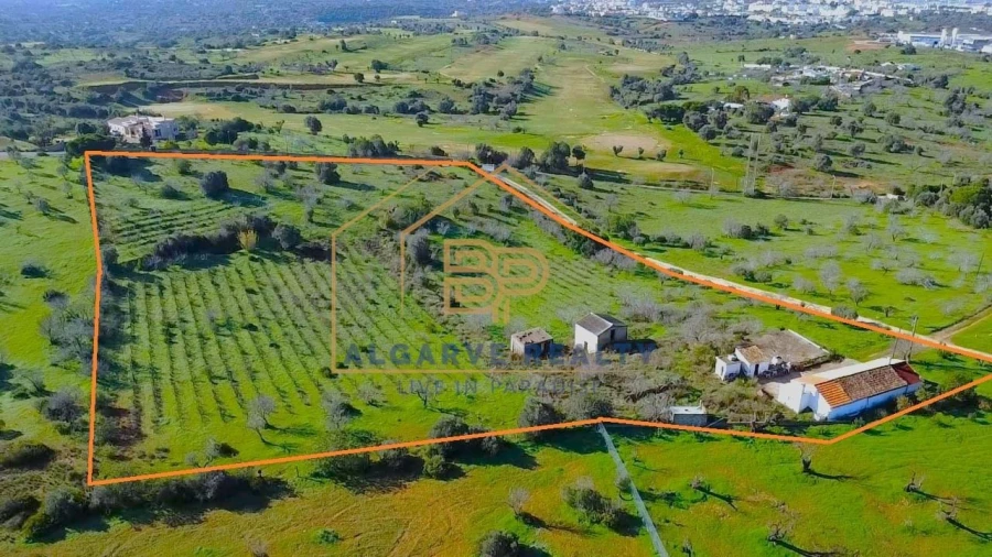 Negócio para Venda em Estômbar e Parchal Foto 3