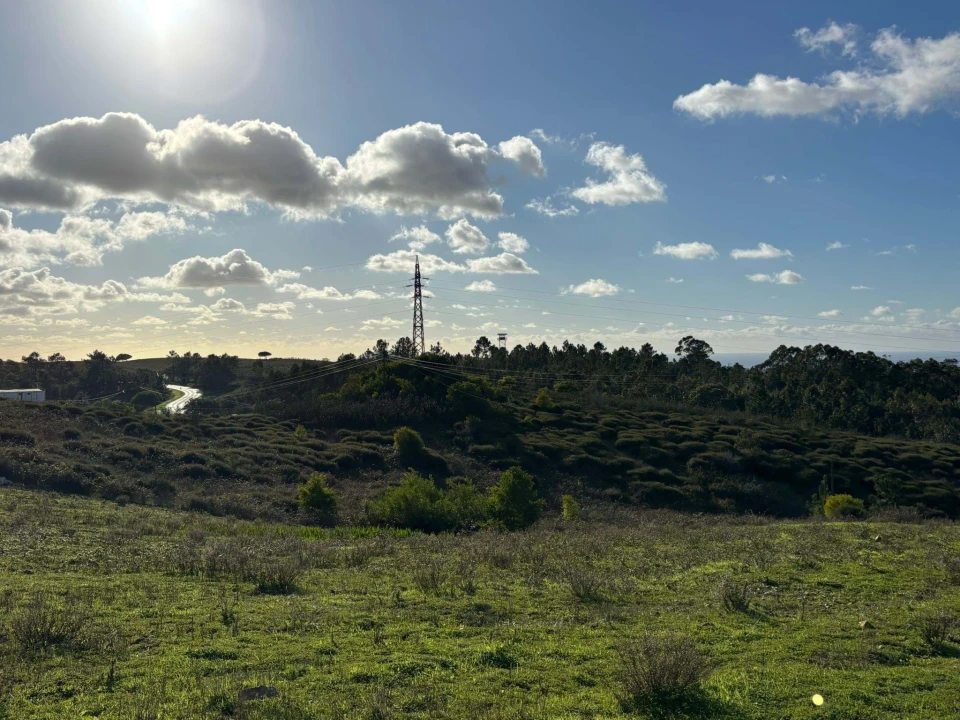 Terreno para Venda em São Teotónio Foto 11