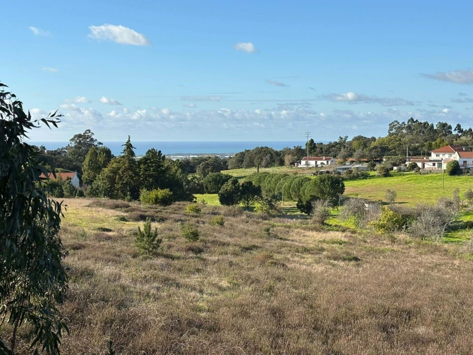 Terreno para Venda em São Teotónio Foto 2