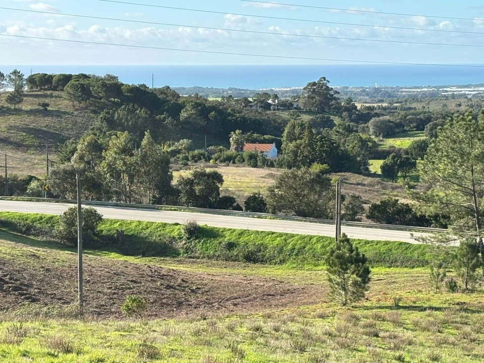 Terreno para Venda em São Teotónio Foto 5