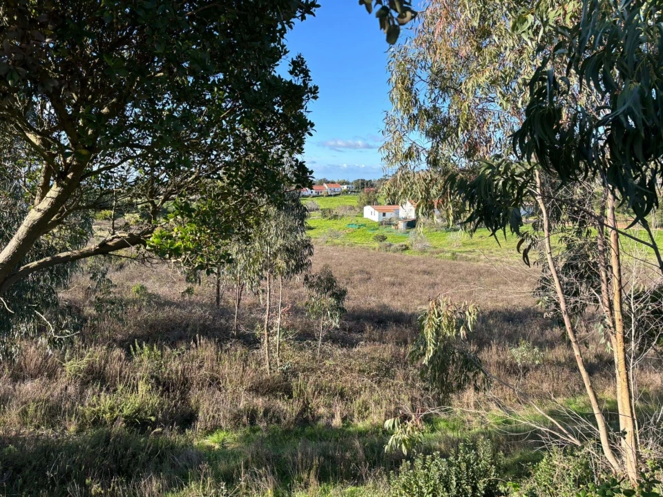Terreno para Venda em São Teotónio Foto 6