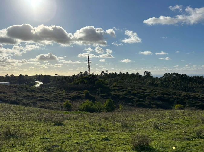 Terreno para Venda em São Teotónio Foto 11