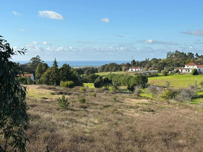 Terreno para Venda em São Teotónio Foto 2