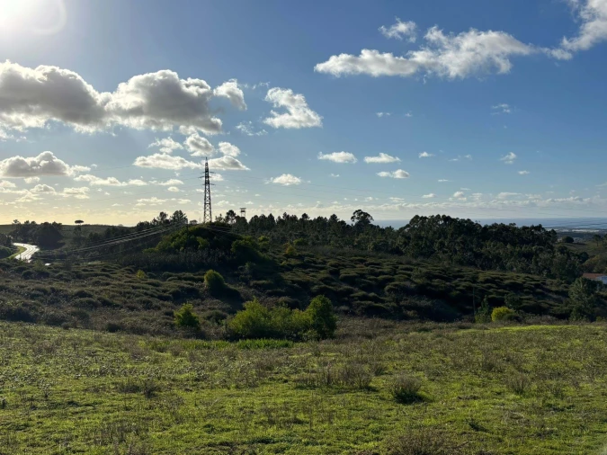 Terreno para Venda em São Teotónio Foto 10