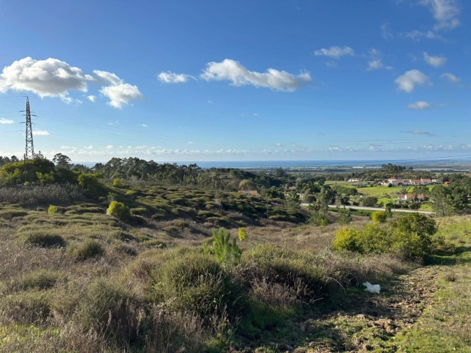Terreno para Venda em São Teotónio Foto 14