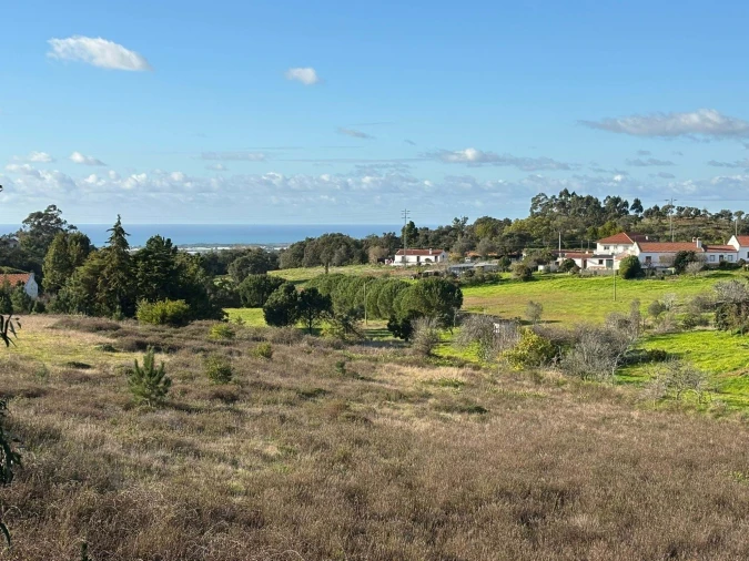 Terreno para Venda em São Teotónio Foto 8
