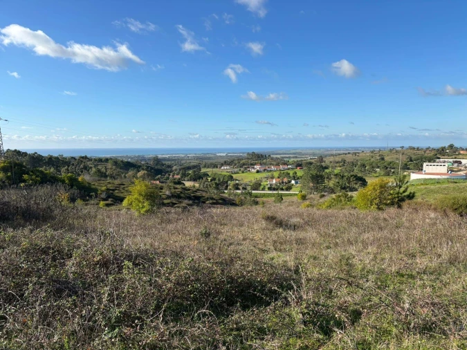 Terreno para Venda em São Teotónio Foto 13