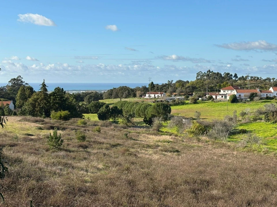 Terreno para Venda em São Teotónio Foto 8