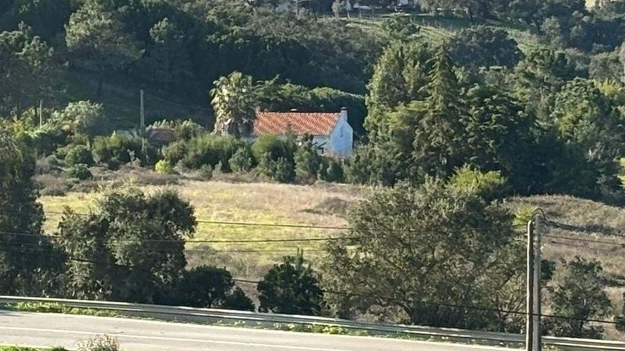 Terreno para Venda em São Teotónio
