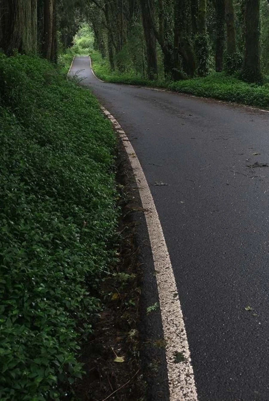 Moradia T2 para Venda em Colares Foto 46