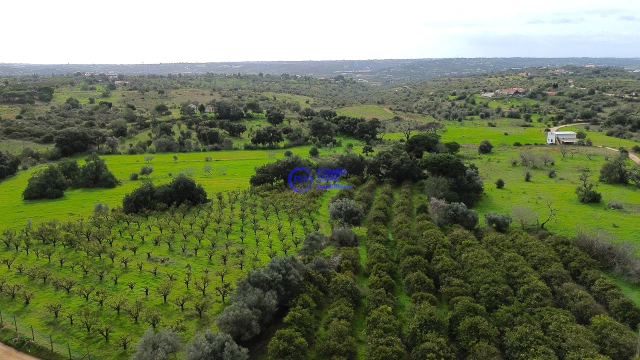 Moradia T2 para Venda em São Silvestre Foto 54