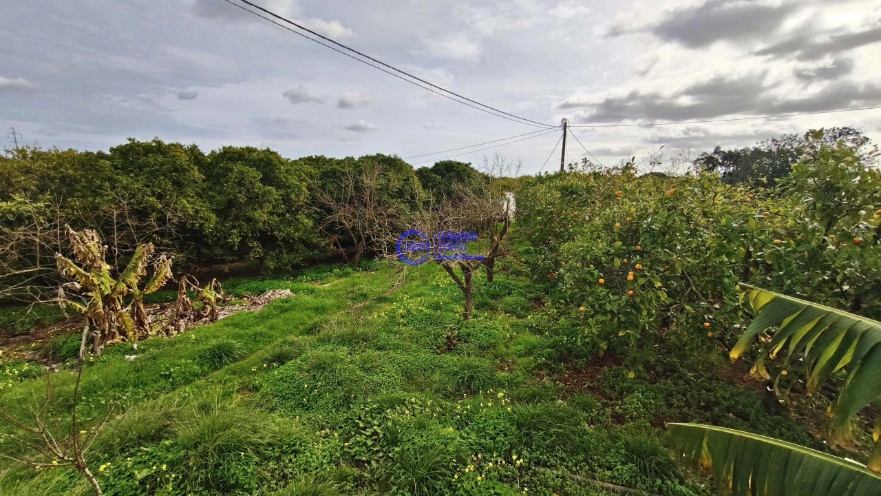 Moradia T2 para Venda em São Silvestre Foto 50