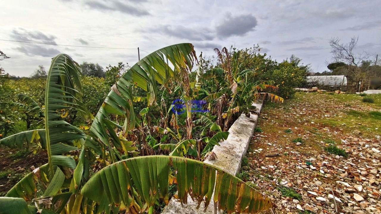 Moradia T2 para Venda em São Silvestre Foto 49
