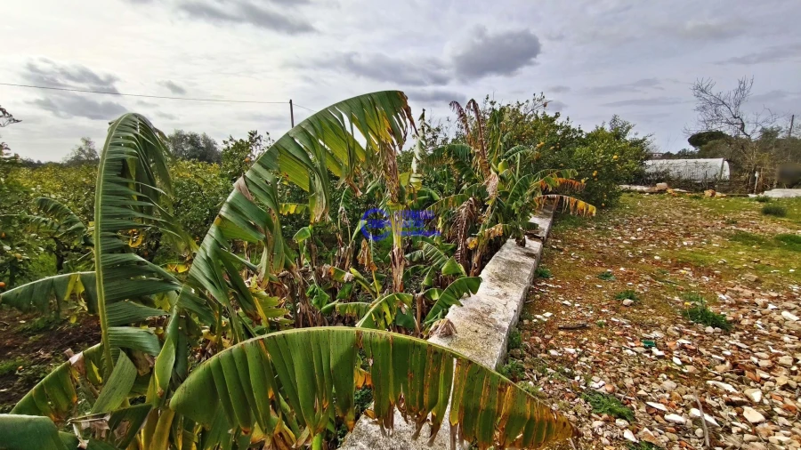 Moradia T2 para Venda em São Silvestre Foto 49