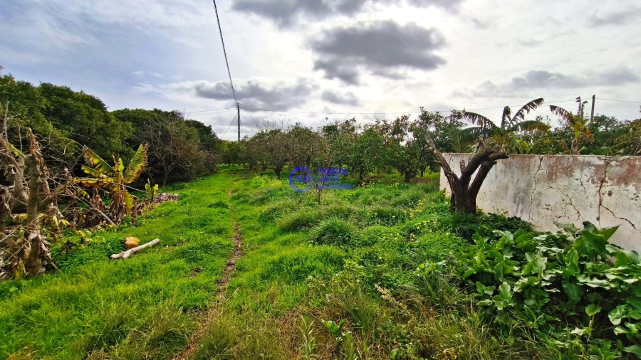 Moradia T2 para Venda em São Silvestre Foto 43