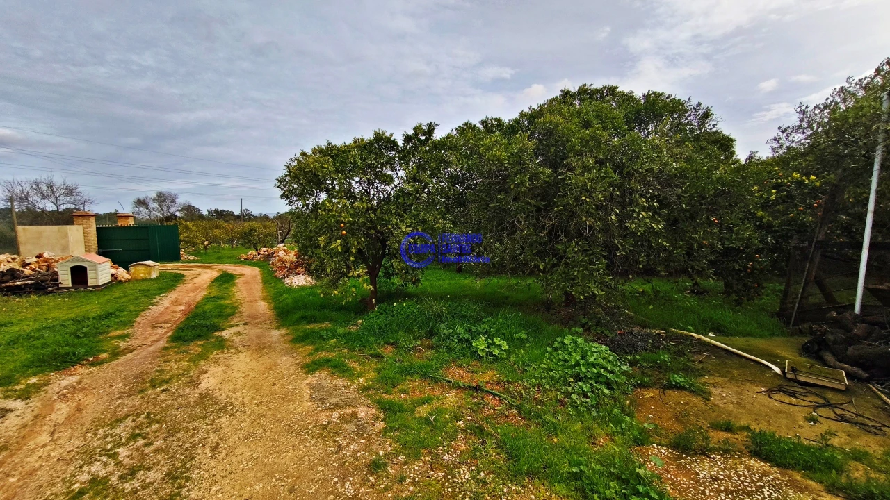 Moradia T2 para Venda em São Silvestre Foto 42