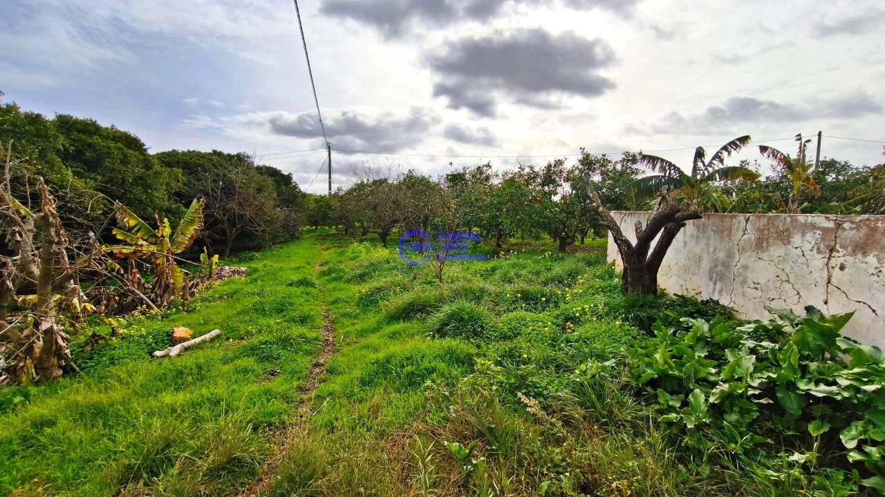 Moradia T2 para Venda em São Silvestre Foto 43