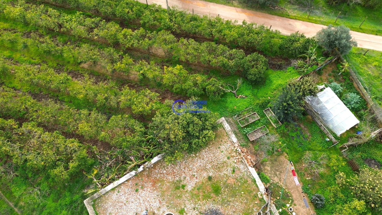 Moradia T2 para Venda em São Silvestre Foto 53