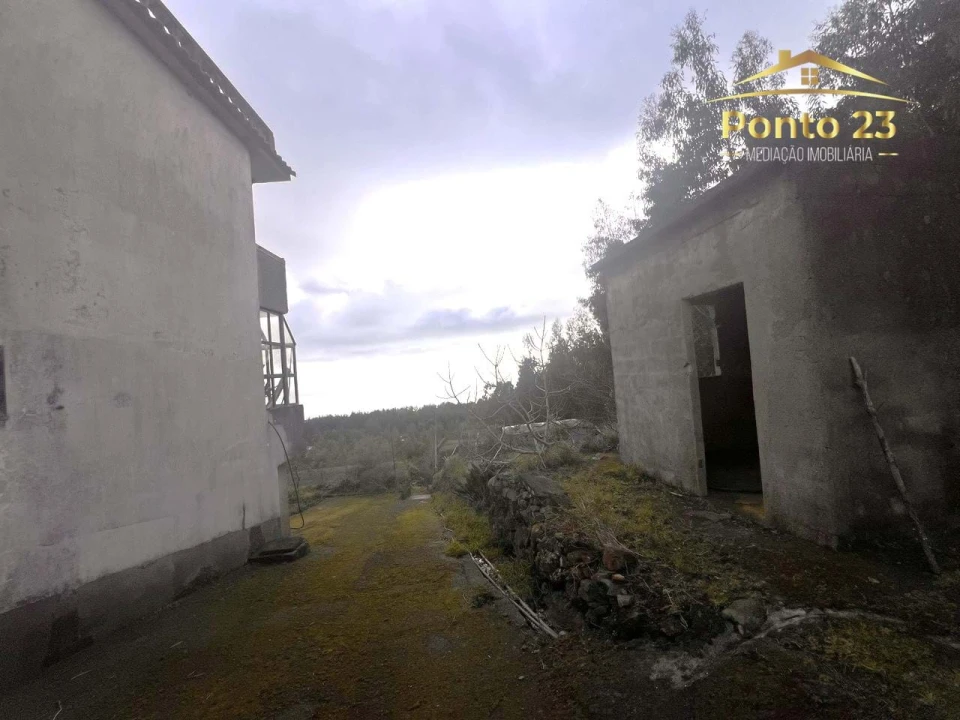 Apartamento para Venda em Camacha Foto 3