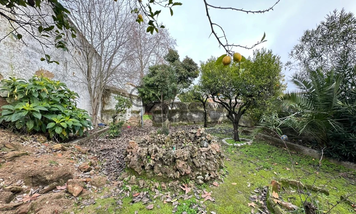 Moradia T4 para Venda em Vidigueira Foto 16