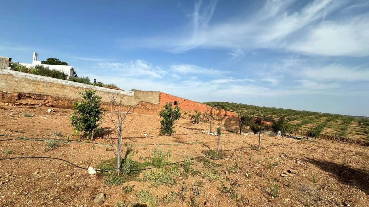 Moradia T2 para Venda em Pedrogão Foto 10