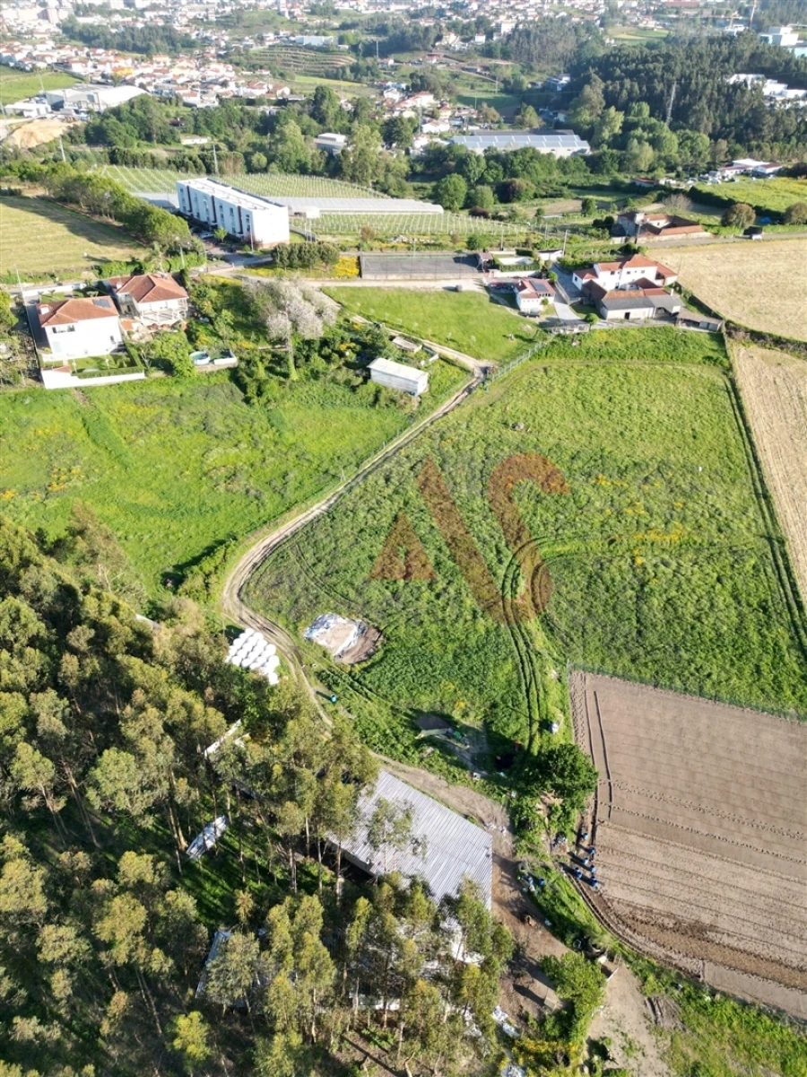 Terreno para Venda em Areias, Sequeirô, Lama e Palmeira Foto 5