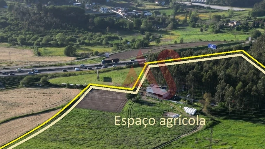 Terreno para Venda em Areias, Sequeirô, Lama e Palmeira