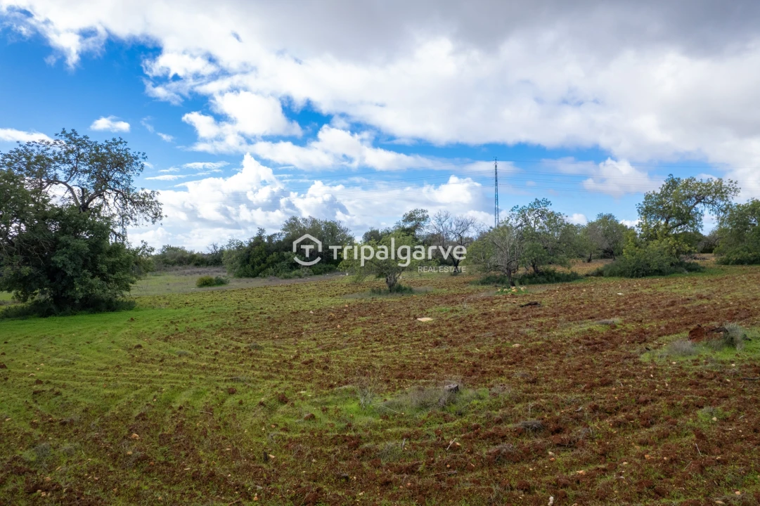 Terreno Misto para Venda em Albufeira e Olhos de Água Foto 19