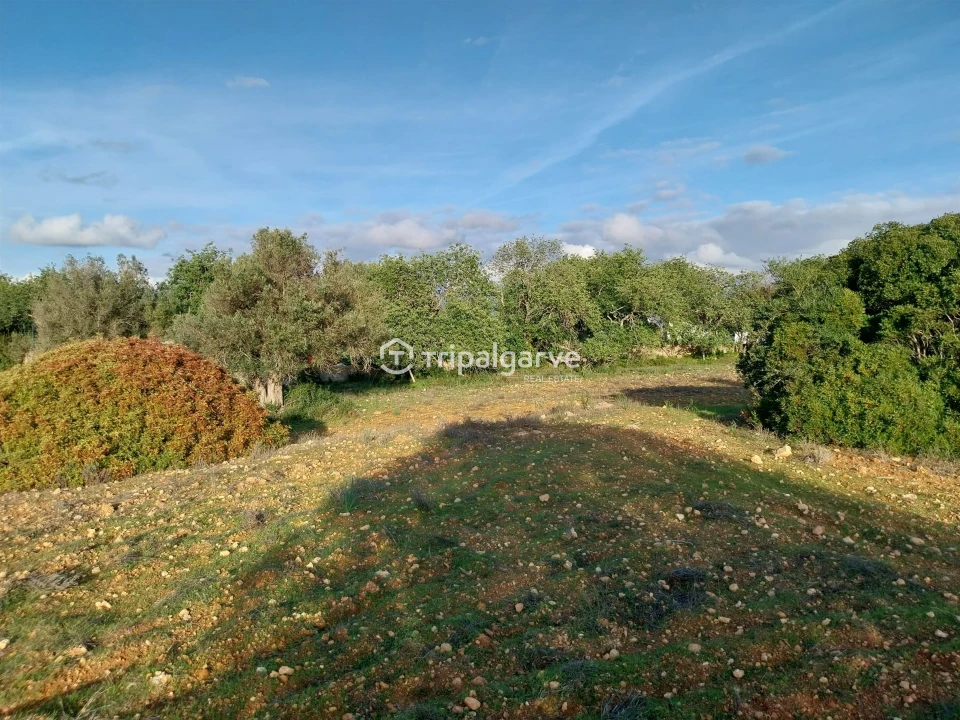 Terreno Misto para Venda em Albufeira e Olhos de Água Foto 31
