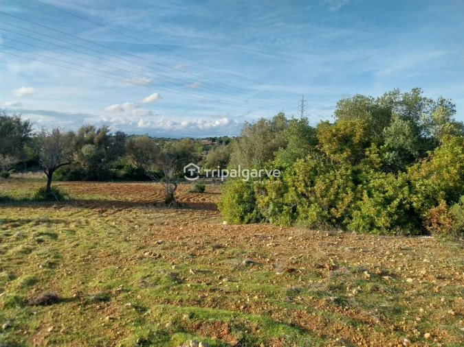 Terreno Misto para Venda em Albufeira e Olhos de Água Foto 34