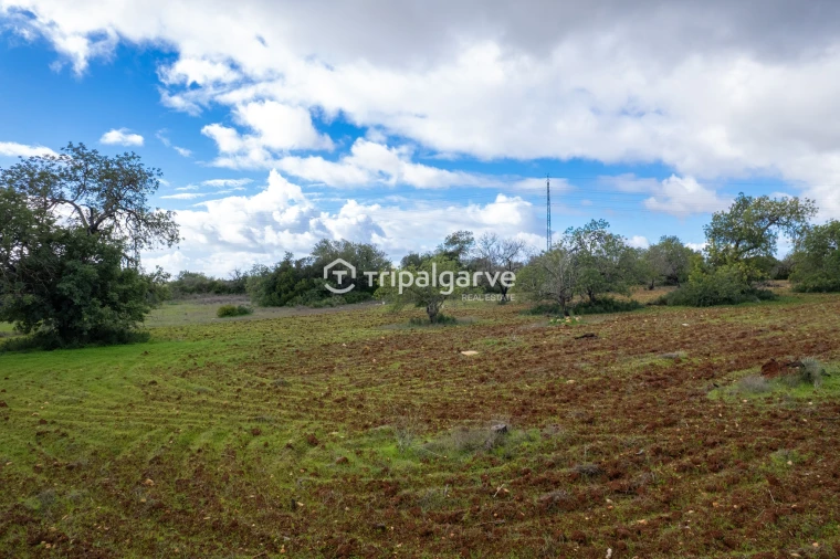 Terreno Misto para Venda em Albufeira e Olhos de Água Foto 19