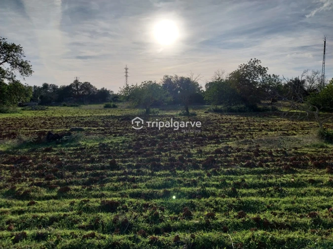Terreno Misto para Venda em Albufeira e Olhos de Água Foto 28