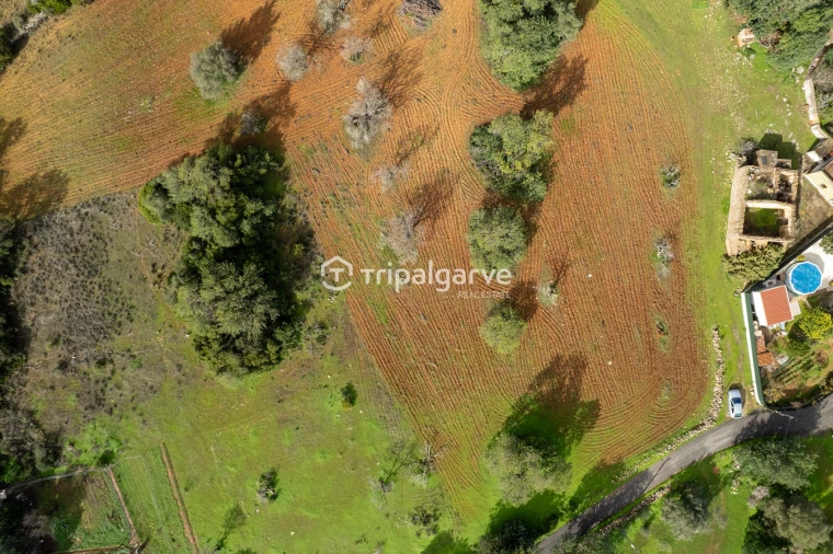 Terreno Misto para Venda em Albufeira e Olhos de Água Foto 13