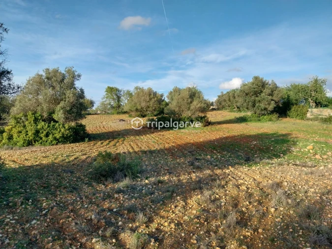 Terreno Misto para Venda em Albufeira e Olhos de Água Foto 30