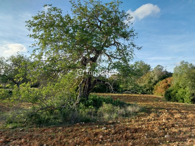 Terreno Misto para Venda em Albufeira e Olhos de Água Foto 35