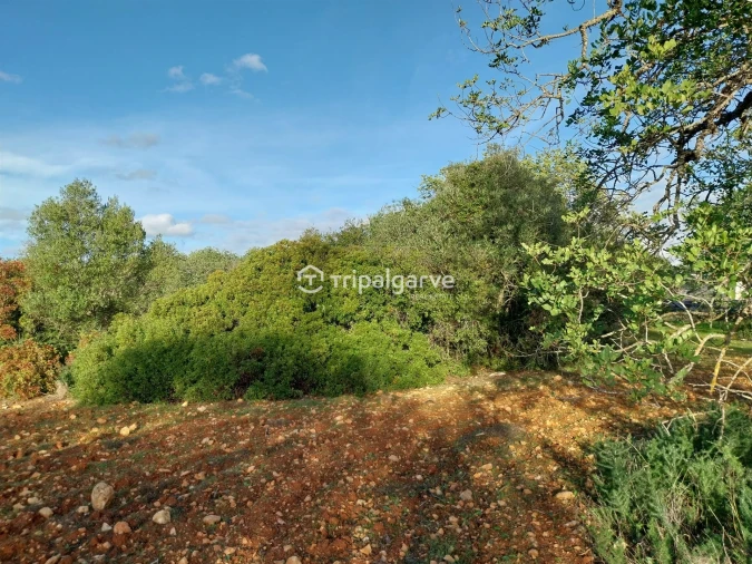 Terreno Misto para Venda em Albufeira e Olhos de Água Foto 32