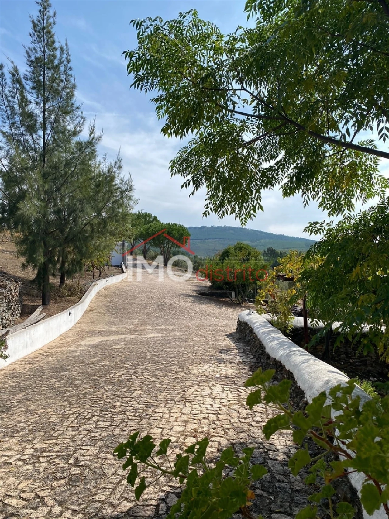 Quinta T0 para Venda em São Salvador da Aramenha Foto 11