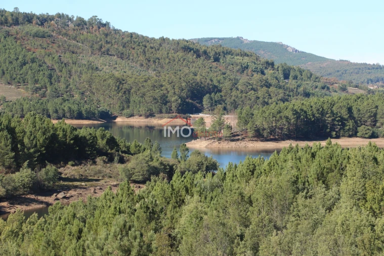 Quinta T0 para Venda em São Salvador da Aramenha Foto 19