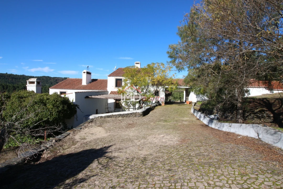 Quinta T0 para Venda em São Salvador da Aramenha Foto 3