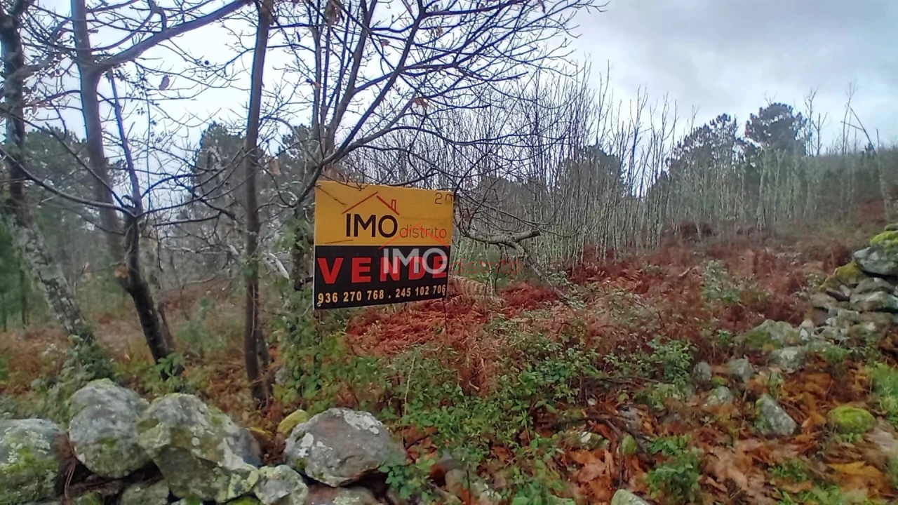 Terreno Agricola ou Rústico para Venda em Santa Maria de Marvão Foto 2