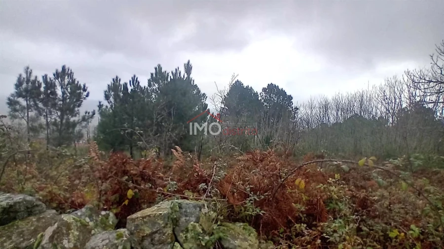 Terreno Agricola ou Rústico para Venda em Santa Maria de Marvão Foto 3